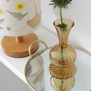 Vases Style nordique Simple table atmosphérique Art fleur insérer décoratif bouteille hydroponique rétro vase en verre transparent brun