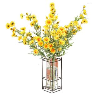 Vases simples ornements de bureau décoration de la maison cadre d'art en fer arrangement de fleurs vase carré pot de plante en verre