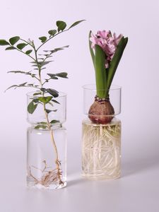 Vases Transparent verre jacinthe bouteille fleur transparente plante bouteille pot bricolage ornements décoration de la maison vase en verre vase hydroponique 221126