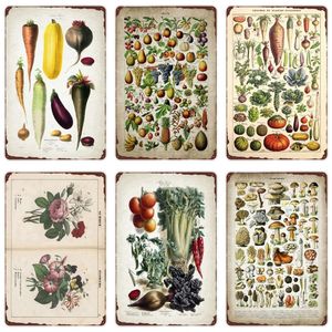 Légumes Plantes Rétro Métal Peinture Fruits Vintage Métal Tin Sign Chou-Fleur Mur Art Signe Jardin Cuisine Ferme Décor Fleurs Plaque 20cmx30cm Woo