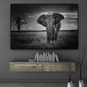 Toile d'art mural avec animaux sauvages, éléphant d'afrique, peinture en noir et blanc, affiches et imprimés, tableau mural, décor de salon Cuadros