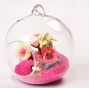Globe en verre suspendu au mur, plante à air ronde, support de jardinière de terrarium, pots de fleurs, vase de terrarium, ornement pour fleur, mousse, bougie chauffe-plat
