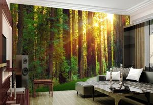 Fondos de pantalla Sun Forest Mural Po Wallpaper Papel de contacto para sala de estar Dormitorio 3d Murales de pared Papeles Decoración de lujo para el hogar personalizada