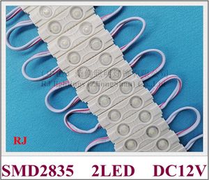 Module d'éclairage LED par injection étanche IP65, pour petit signe, lettre, DC12V, 45mm X 13mm X 5mm, SMD 2835, 2 LED, lentille 1W