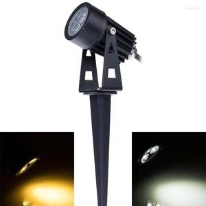 Étanche LED pelouse lampe extérieure COB Spike lumière DC12V 110V 220V voie jardin Spot ampoule 5W 3W décor paysage éclairage