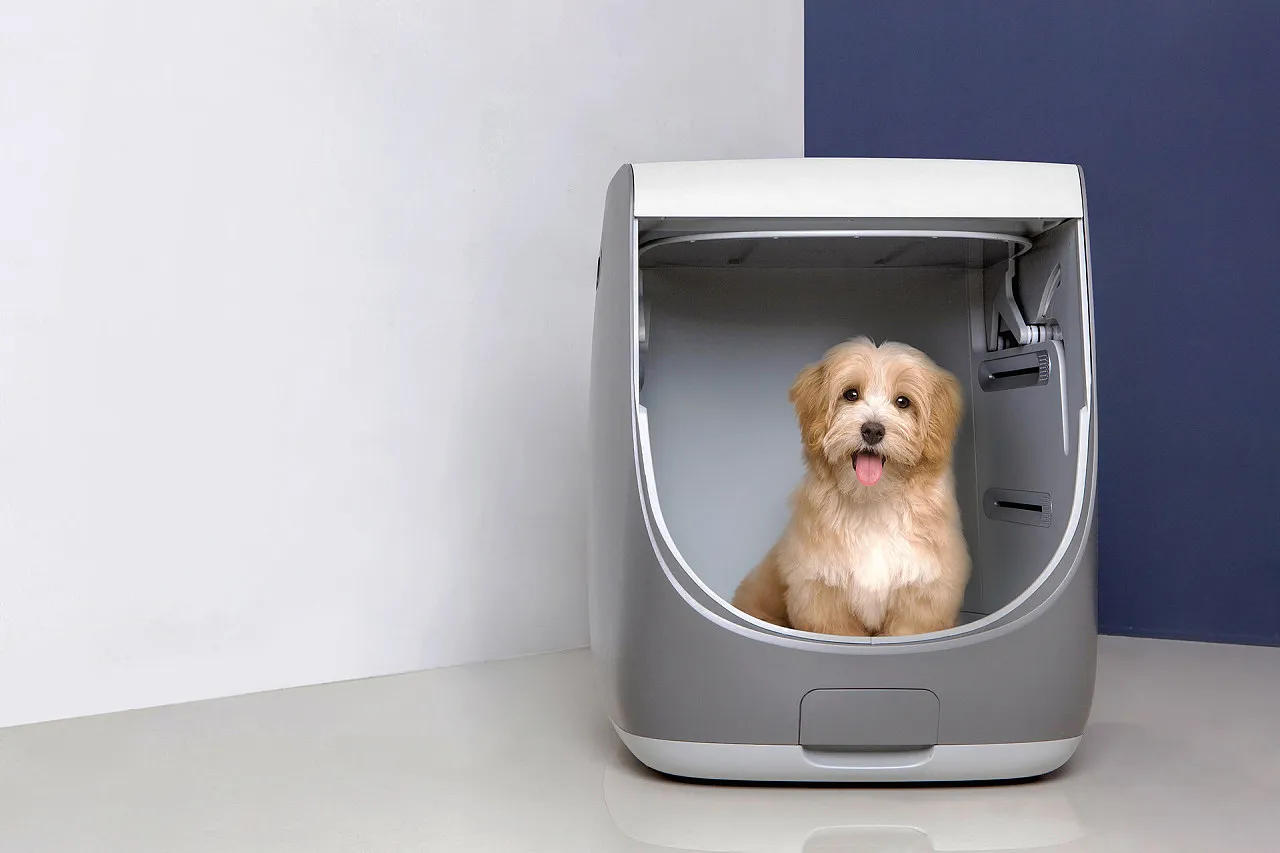 How to Choose the Best Homing Device for Your Pet?