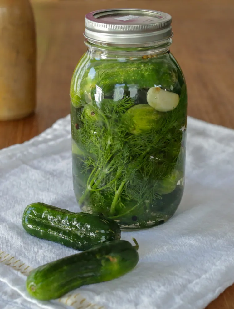 Top 10 Fermented Pickles Brands for a Tasty and Healthy Snack