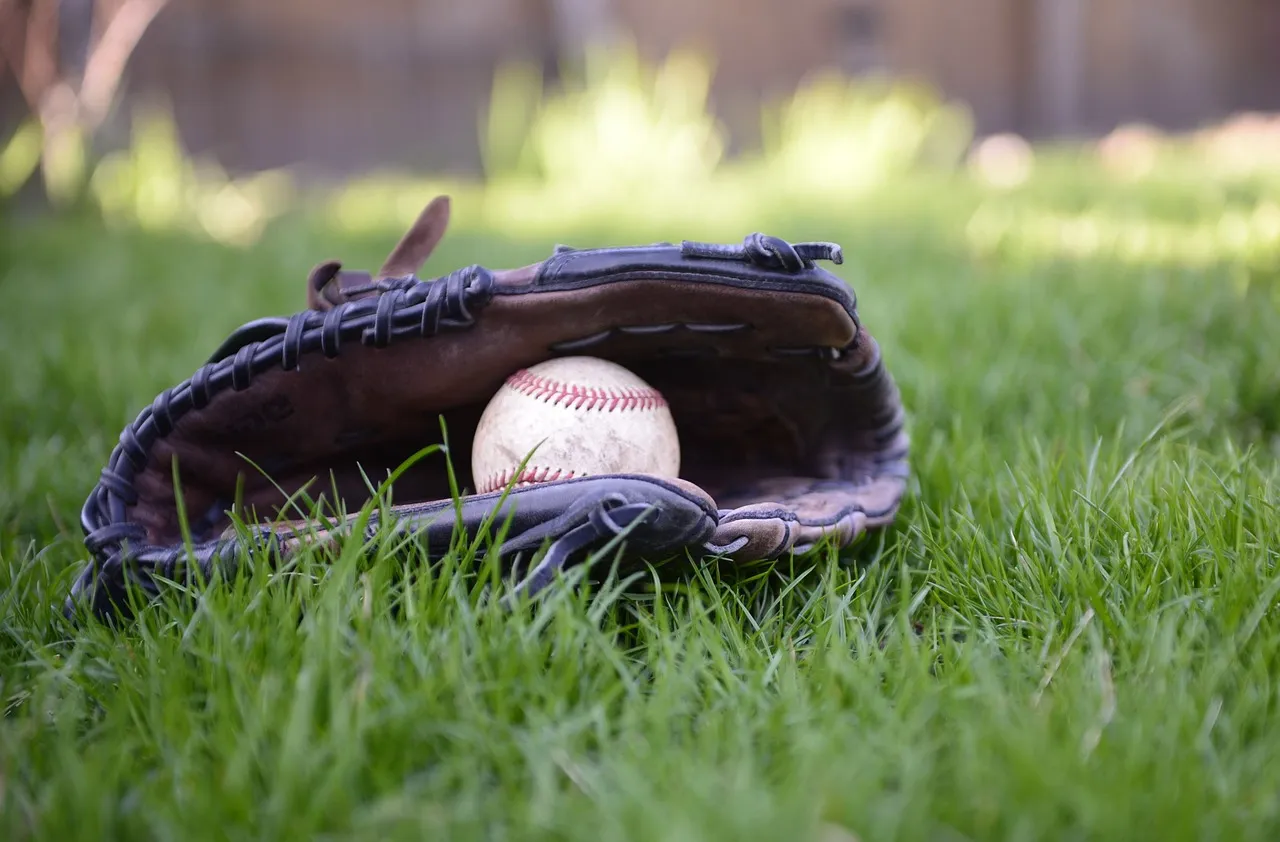 How to Choose the Best Limestone Baseball for Your Next Game