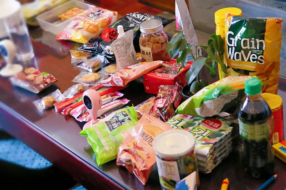 10 Best Quest Snacks to Satisfy Your Hunger OnTheGo