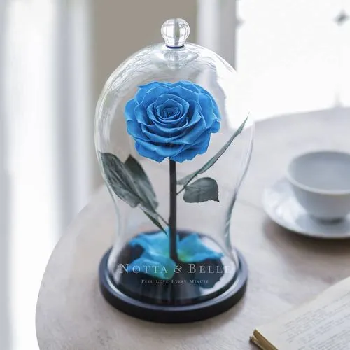 How to Choose and Display the Perfect Rose Glass Dome for Your Home Decor