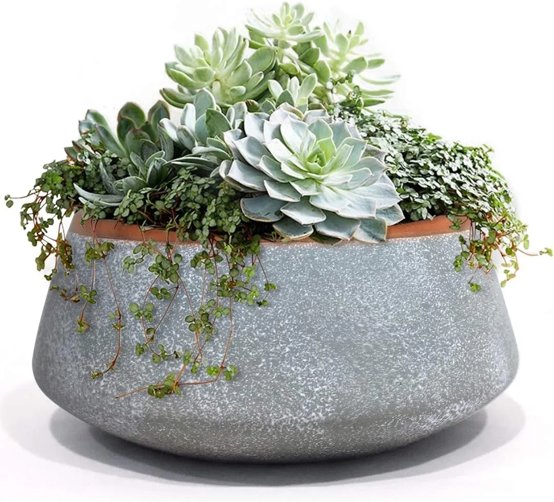 10 MustHave Plant Pot Accessories to Elevate Your Indoor Garden