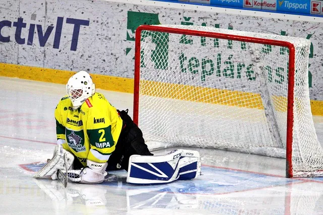 The Ultimate Guide to MHSAA Hockey Shopping Gear