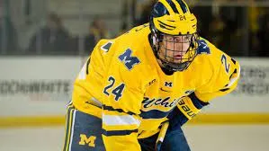 The Ultimate Guide to Northern Michigan Hockey