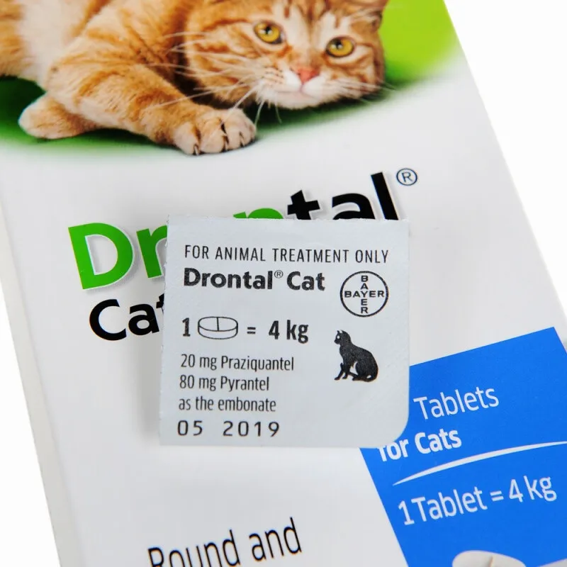 Everything You Need to Know About Cat Cerenia Usage, Dosage, and Side