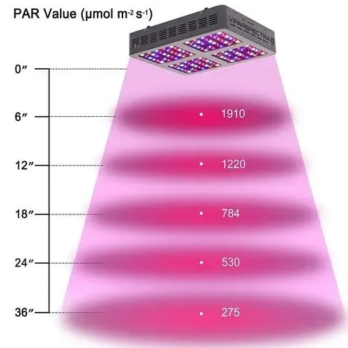 How to Choose the Best Home Depot Grow Lights for Your Indoor Plants