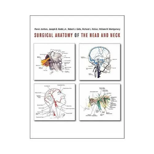 Understanding The Different Parts Of The Head A Comprehensive Guide