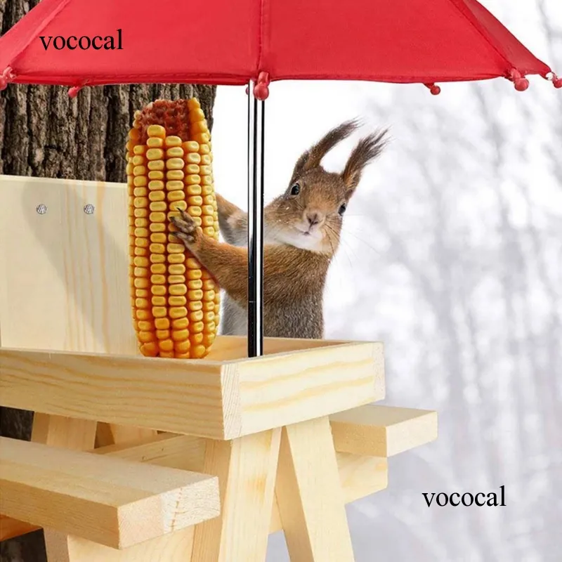 10 Best Toys for Squirrels Keep Your Furry Friends Entertained!