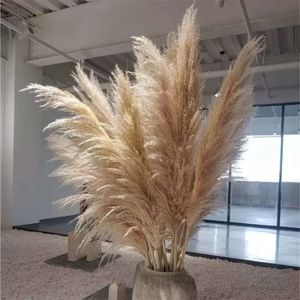 Fleurs de fleurs de mariage Couronnes décoratives Pampas Grass grande taille duveteuse pour la maison décor de Noël Plantes naturelles Fleurs séchées blanches P0927