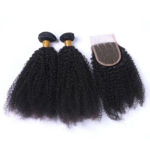 Toutes Afro Curly Curly Malaysian Virgin Human Heuving Fermles avec fermeture Ferme Curly 4x4 Front Ferme Ferme avec Virgin Hair Tofts