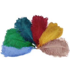 Vente en gros 10pcs / lot neuf plumes d'autruche colorées pour l'artisanat blanc big autruche décor de plume bricolage de rêve de rêve décoration de mariage