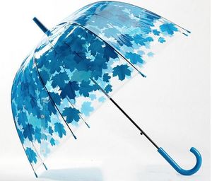 Regenschirme Großhandel 4 Farben Blätter Käfig Regenschirm Transparent Rainny Sunny Sonnenschirm Nette Frauen Klar Paraguas1