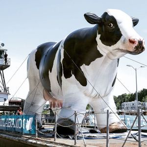 Venta al por mayor de vacas lecheras holandesas inflables gigantes personalizadas de 8,2/10/13,2/16,5 pies para publicidad hecha en China