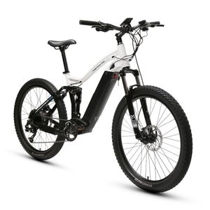 Vélo de montagne électrique à 9 vitesses en gros 48 V/750 W moteur de moyeu arrière hors route batterie au Lithium de vélo électrique personnalisé 48 V 9 vitesses