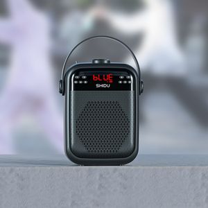 Venta al por mayor Custom Hifi Tweeter Midrange Subwoofer Audio Wireless Portable Smart Karaoke Bluetooth Speaker