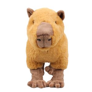 Vente en gros à chaud vendant 30 cm Capybara Simulation à eau Guinée Pig Doll Cartoon Doll Plush Toys