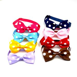 Accessoires pour chiens et chats, nœud papillon réglable, sangle de cou, collier de toilettage, couleurs aléatoires, autres fournitures pour animaux de compagnie, vente en gros