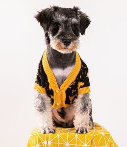 Pull pour animaux de compagnie de marque de mode en gros automne et hiver pull pour chien à tricoter thermique vêtements pour chiens de petite et moyenne taille Schnauzer