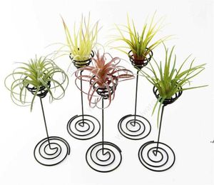 Décorations de jardin en gros support de support de plante d'air fer noir spirale fleur AirPlant conteneur Tillandsia DAW99