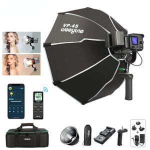 wholesale Ninja200 LED Kit d'éclairage bicolore à lumière vidéo continue Dimmable COBLED Studio Lights pour l'enregistrement vidéo de photographie