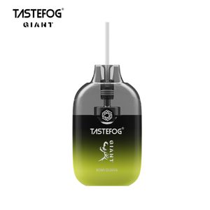 En gros Original Tastefog géant 12000 bouffées bobine de maille jetable I Vape boîte 15 ml débit d'air réglable 650 mAh batterie