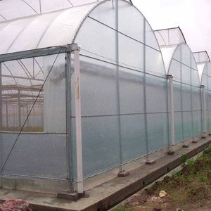 Venta al por mayor PE película agrícola transparente láminas de plástico de polietileno ingeniería de embalaje productos de cubierta de lluvia película de invernadero