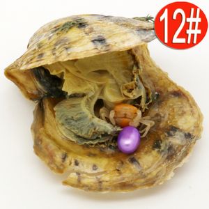 Emballage sous vide en gros, colorant argenté AAA6-8mm, riz violet, eau salée, coquille d'huître perlée Akoya du japon