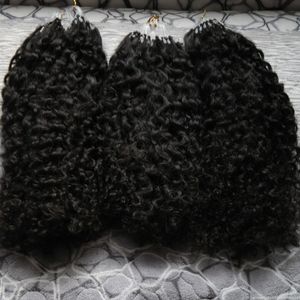 Venta al por mayor Virgin Mongolian Afro Kinky Curly 300s Aplicar cabello natural Micro Link Extensiones de cabello 300g Micro Loop Extensiones de cabello humano