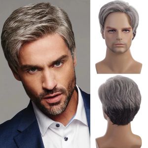 Pelucas Aosiwig peluca masculina corta sintética pelo Natural liso con flequillo gris negro Cosplay diario tupé pelucas de Anime para hombres