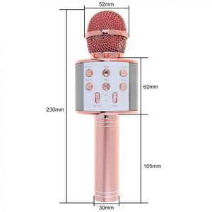 Haut-parleur Hifi de microphone portable sans fil compatible Bluetooth avec panneau de réglage pour enregistreur KTV de karaoké en salle de classe