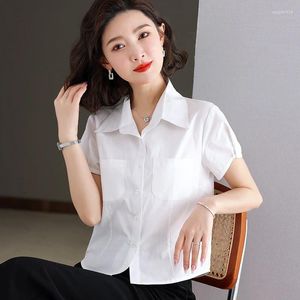 Blouses pour femmes Fashion polyvalente à manches courtes professionnelles pour le tempérament de style coréen d'été Pur Cotton Top