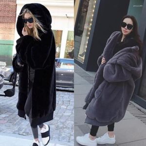 Femmes fourrure 2023 hiver femme manteau Teddy veste Faux cheveux épais à capuche longue peluche grande taille Ponchos vêtements d'extérieur pour femmes