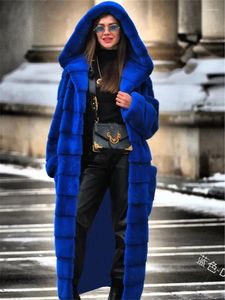 Manteau de fourrure pour femmes, noir, Long, épais, chaud, à capuche, veste en vison, mode automne-hiver, rose, Streetwear, pardessus, 2023