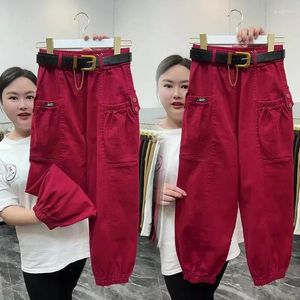 Pantalons pour femmes Automne Femmes Élastique Taille Haute Lâche Casual All-Match Tube Droit Harem Femelle Lié Pieds Pantalon