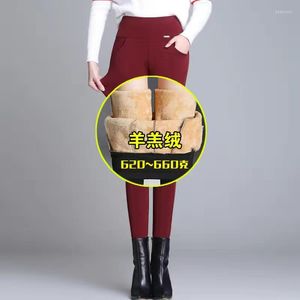Pantalones de mujer de gran tamaño 6xl lápiz de cordero de invierno para mujeres con cintura alta de vellón forrado de pantalones delgados espesos agregue aterciopelante pantalón de fondo