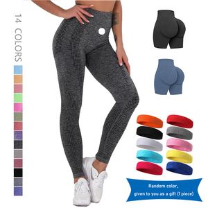 Leggings de Yoga sans couture pour femmes, pantalon de Sport taille haute, contrôle du ventre de requin, entraînement de course à pied