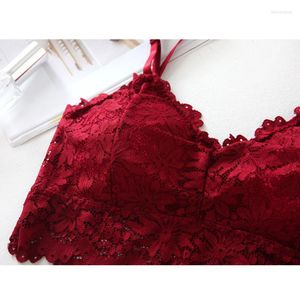 Tanques de mujer Sexy Lace Bralette Tube Tops Bandeau Summer Women Bra Crop C66