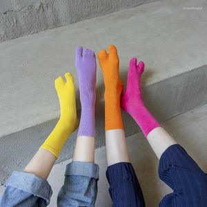 Chaussettes en coton peigné pour femmes, bout fendu, confortable, à deux doigts, japonais, Harajuku Tabi, tongs d'été à deux doigts