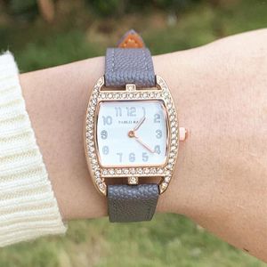 Montres-bracelets PABLO RAEZ Top Mode Gris Couleur Montre Pour Femmes H Cristal Quartz Montre-Bracelet Qualité Diamant Femme Reloj