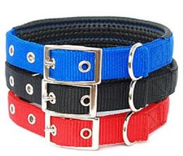 (40 pièces / lot) Marque mise à jour en nylon à double épaississement du collier de chien de chien carré boucle de boucle