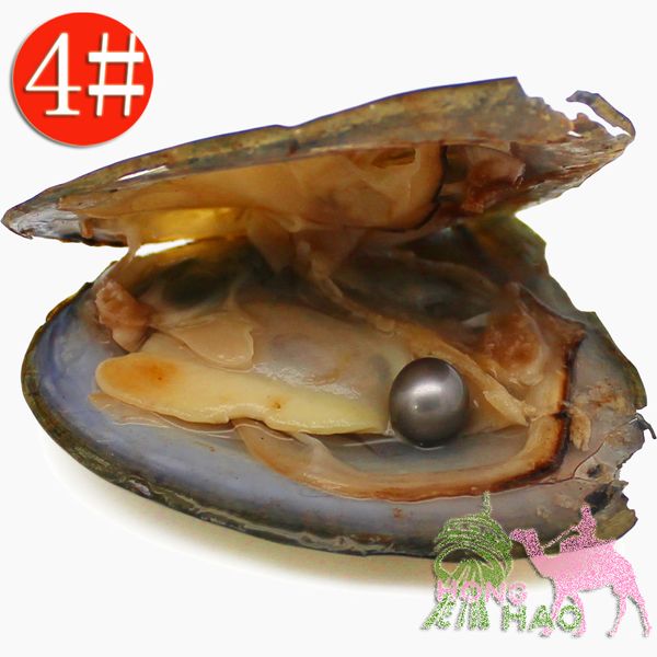 (Livraison gratuite par dhl 2-5 jours) Vente en gros de perles d'huîtres 4A Il y a une perle dans les huîtres, il y a 28 couleurs au choix